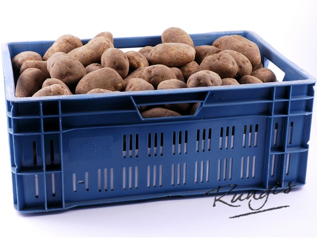 10828 Vuile bonk aardappelen frieslander kg