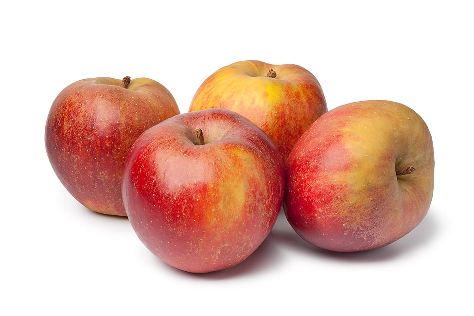 10832 Goudreinette appelen (normale maat) kg - stuk