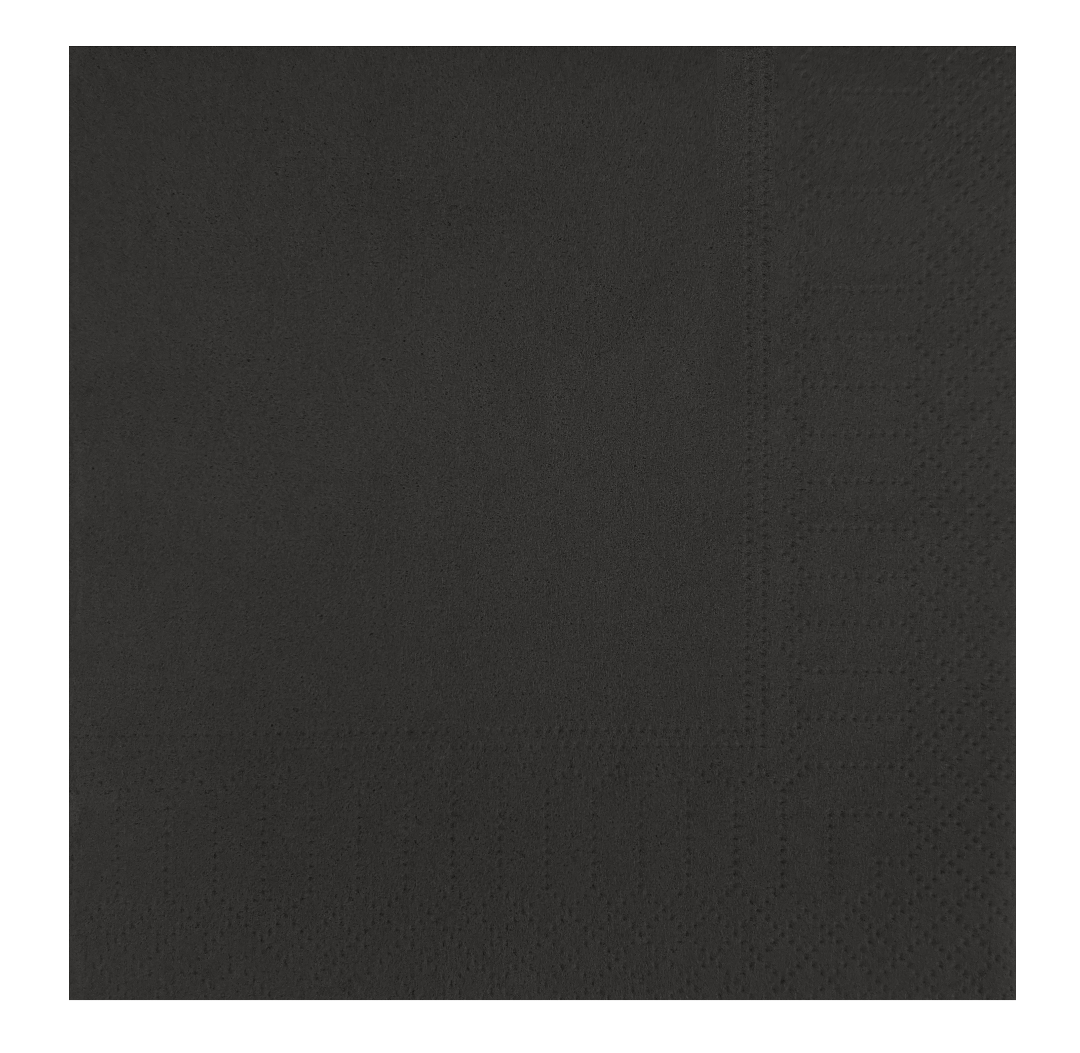 47143 Servet zwart 2-laags 24 cm 300 stuks