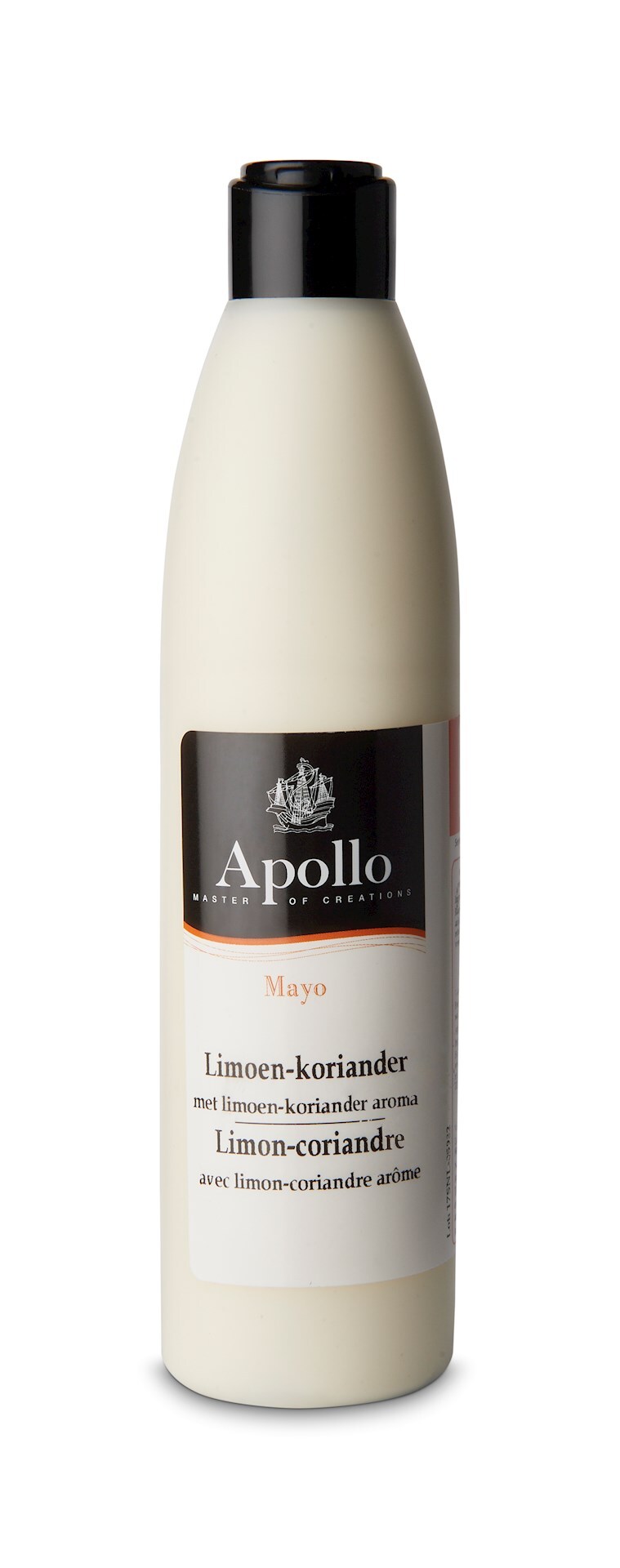 49135 Mayonaise limoen-koriander fles 1x250 ml