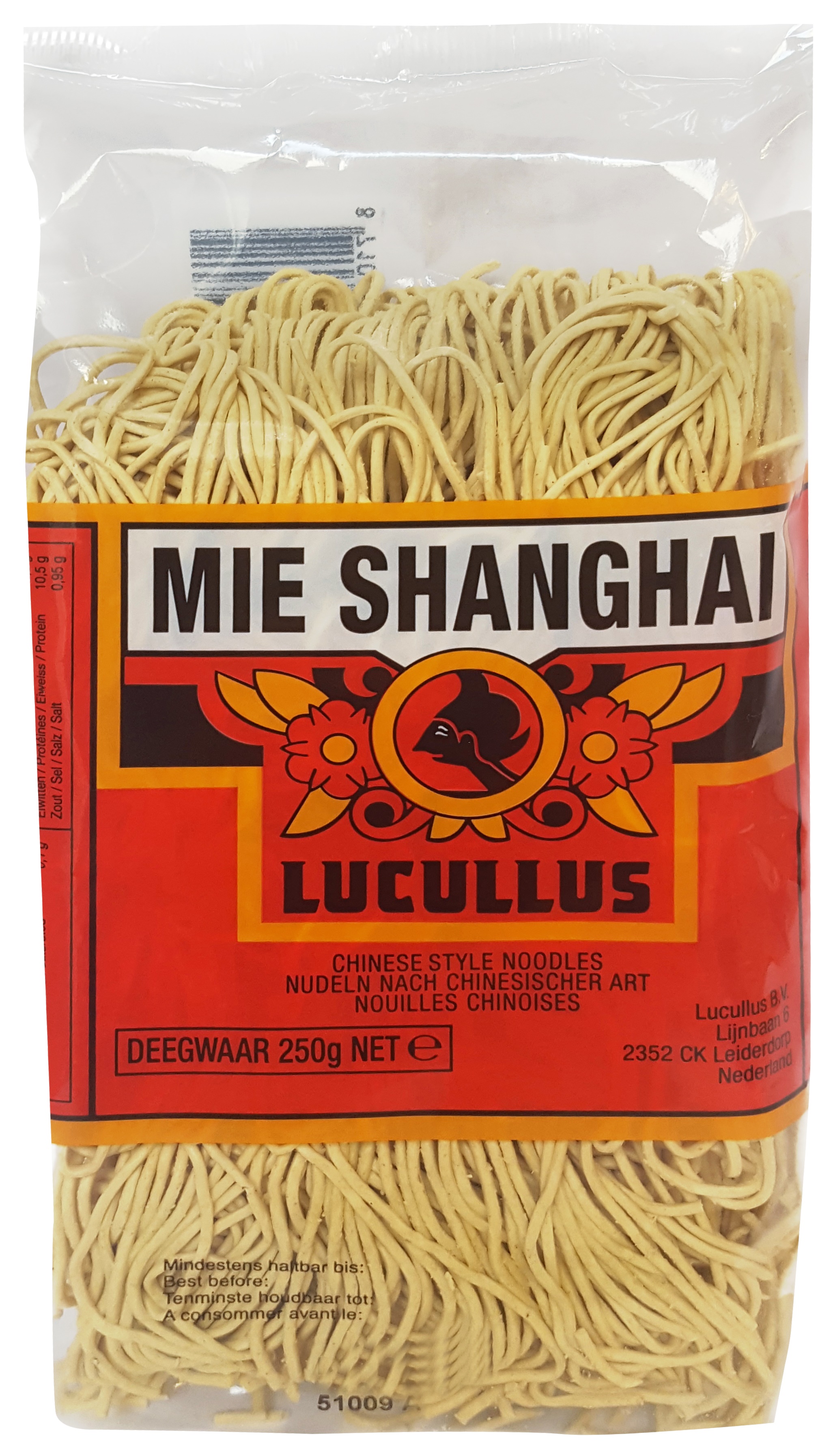 54171 Chinese noodles dun 24x250gr