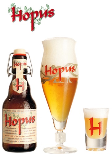 62570 Hopus bier flesjes 20x33 cl