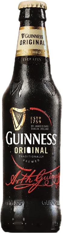 66602 Guinness flesjes 24x33 cl