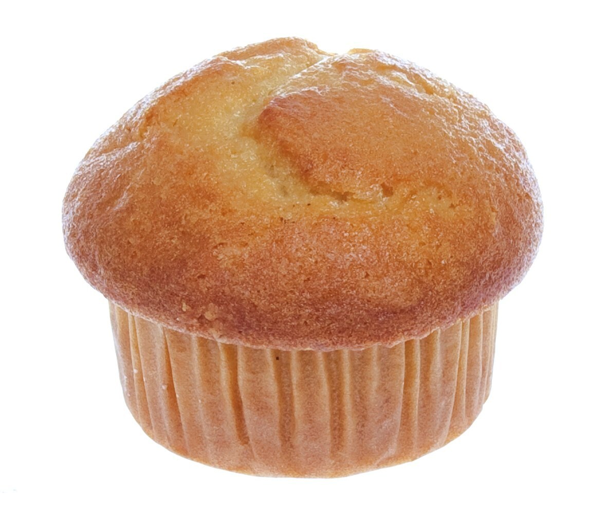 66918 Muffin vanille groot 20x160 gr