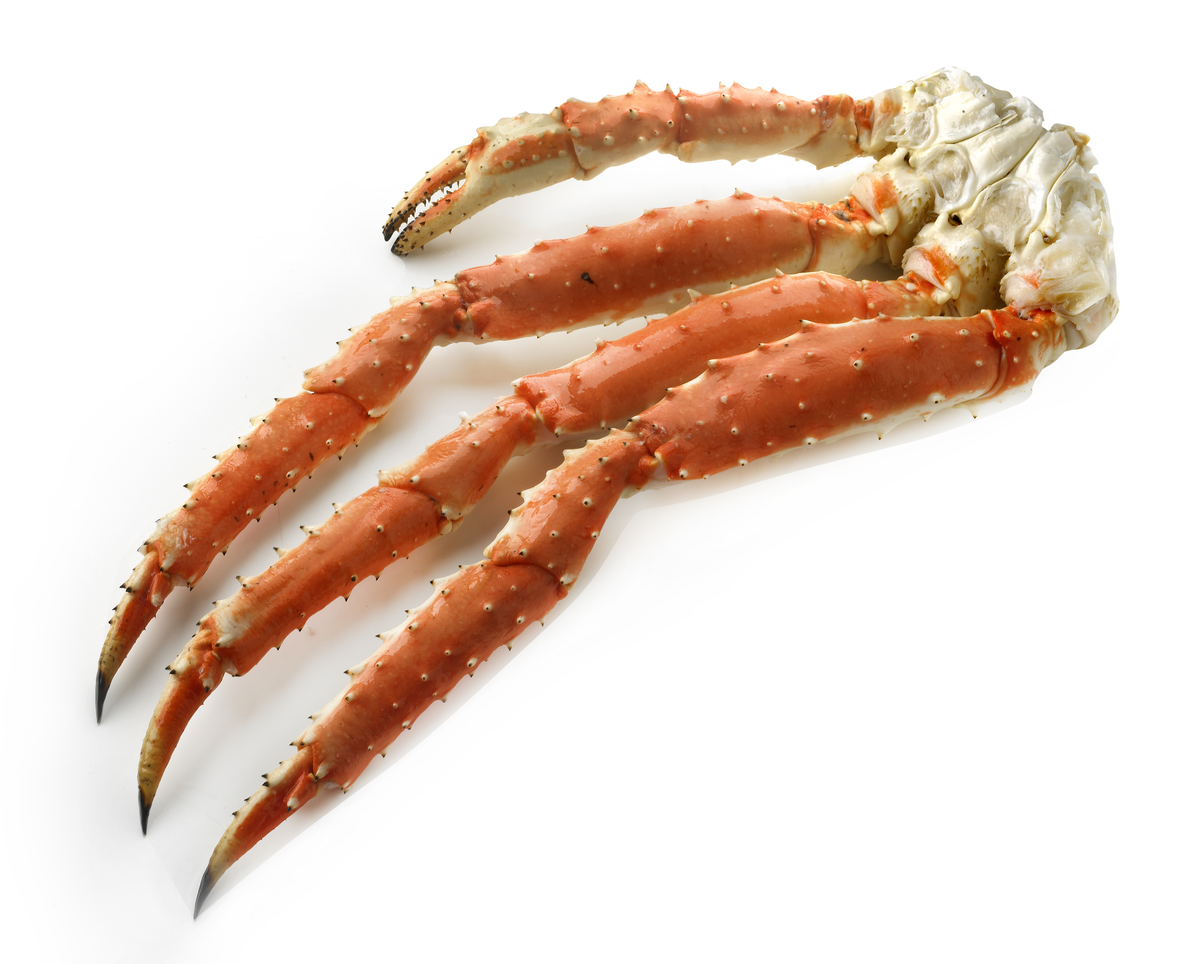 71067 Crabpoten gekookt queen in schil per kilo