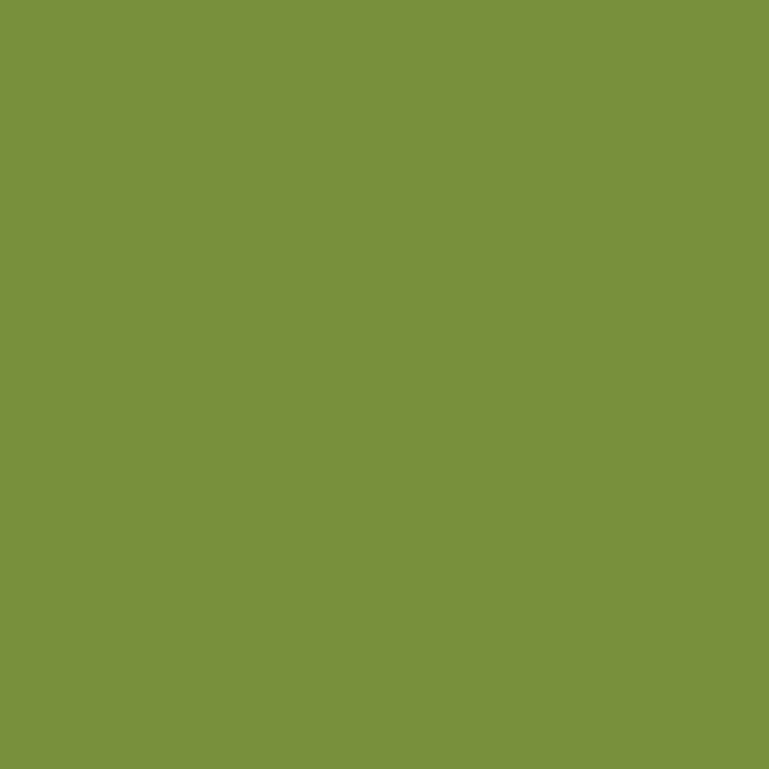71285 Servet leaf green 2lgs.33cm. 1x125 st