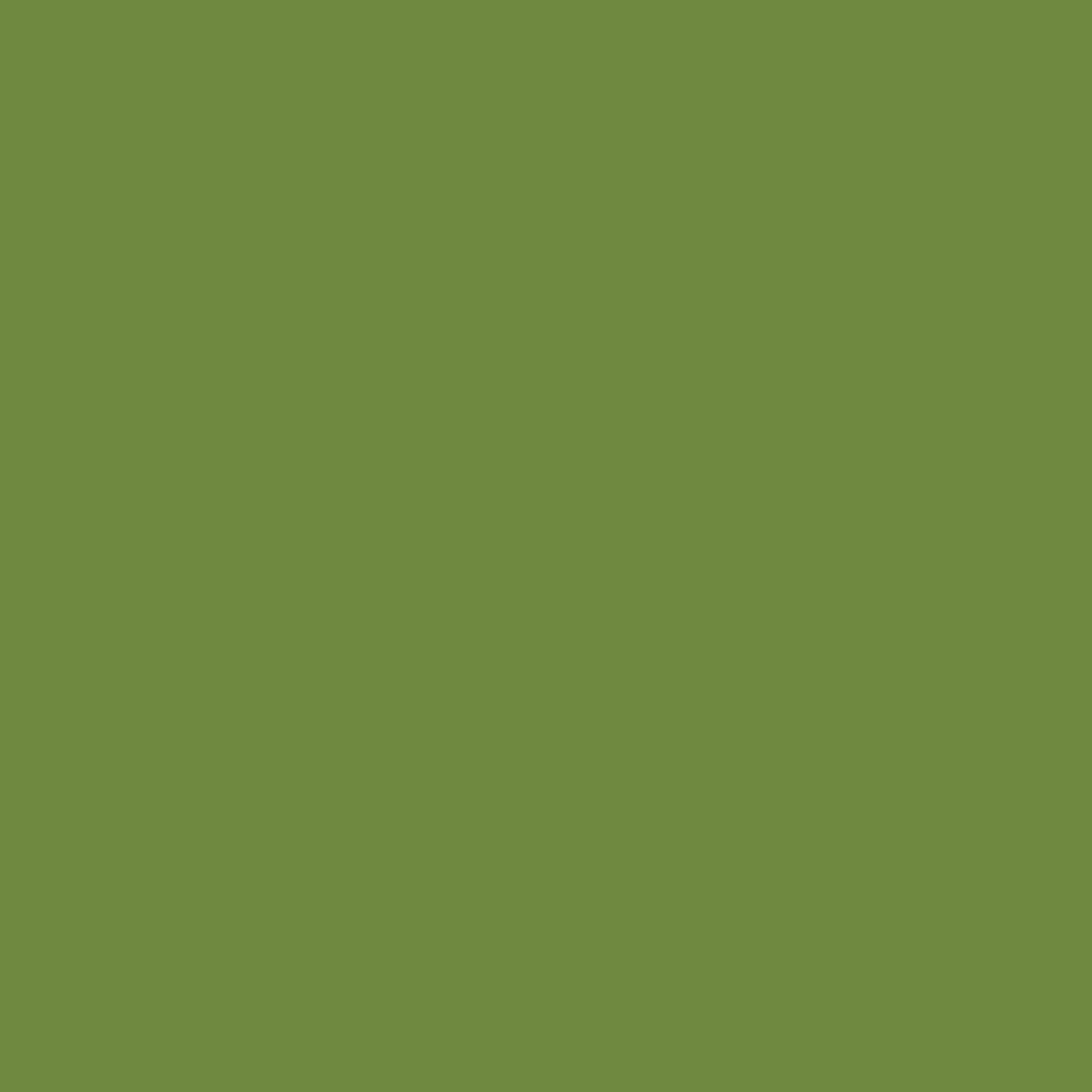 71649 Servet leaf green 33cm. 3-lgs 8x125 st