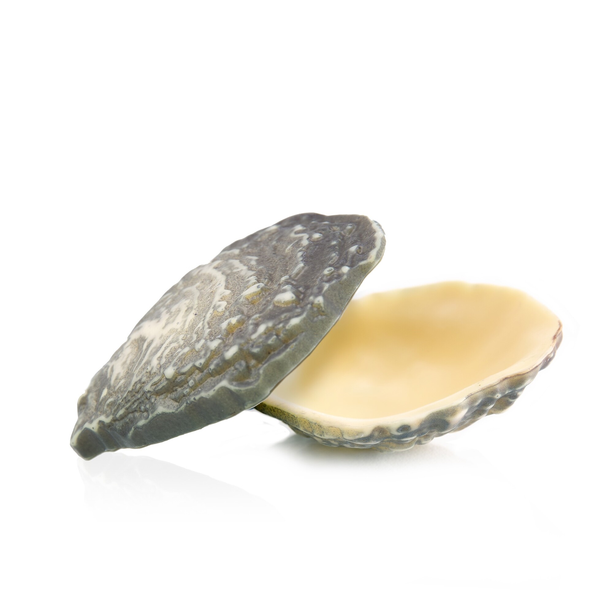 71765 Chocolade oesters 12 st