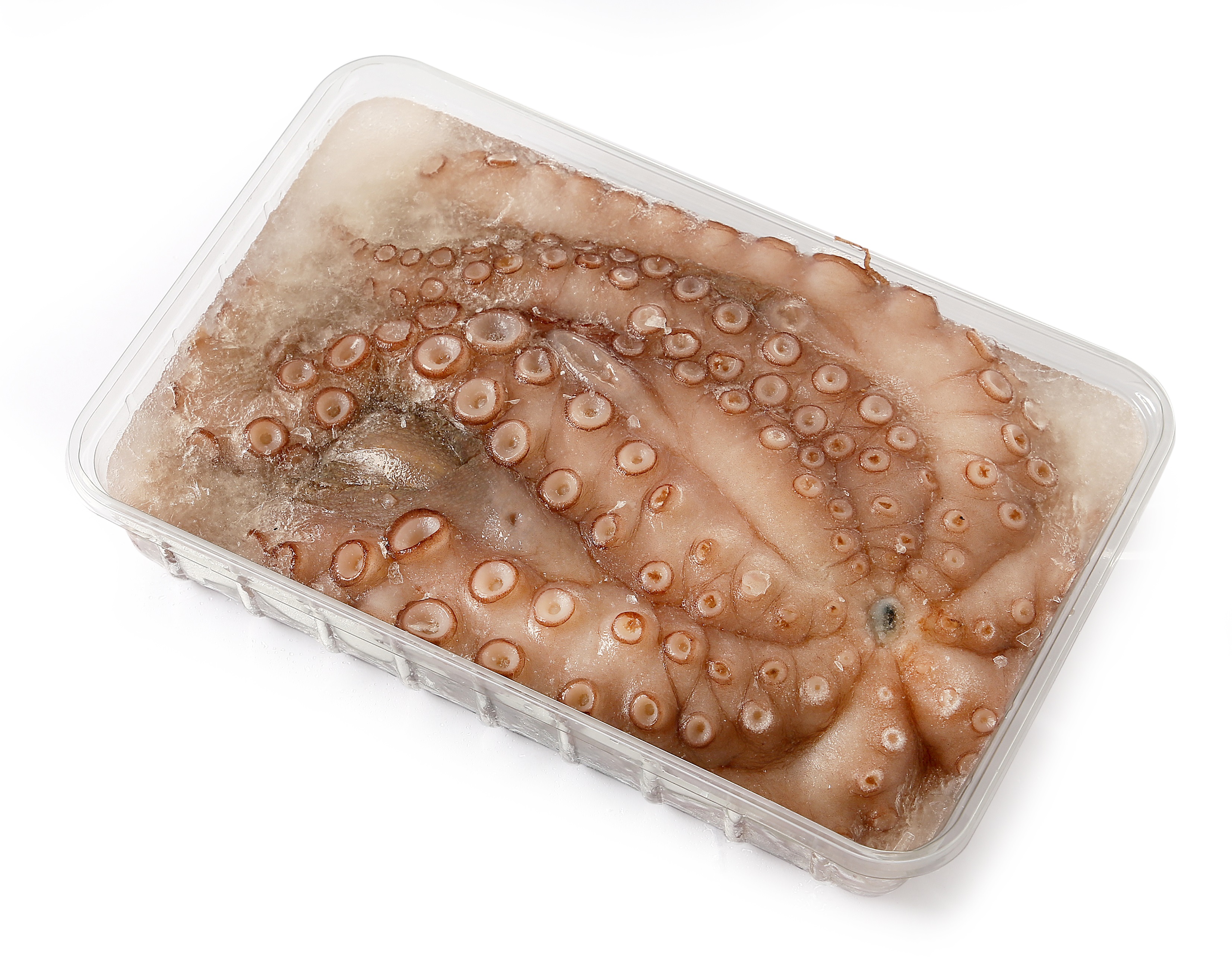 73559 Octopus schoon 1000-2000 gram