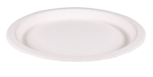 74871 Kartonnen borden rond wit 22 cm per 100 stuks