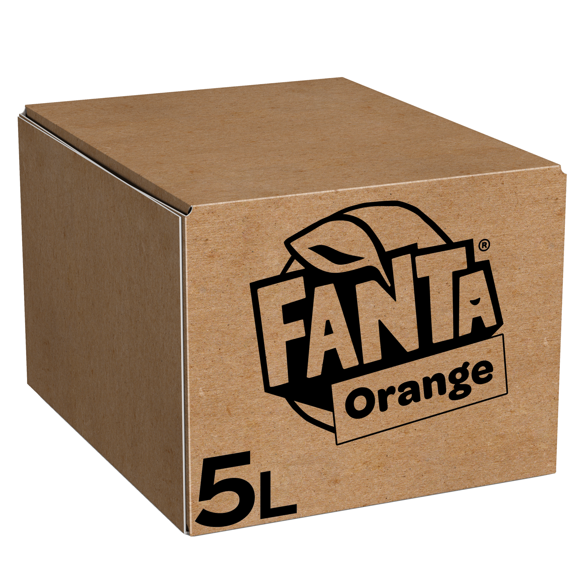 76341 Fanta orange postmix bag in box 1x5ltr