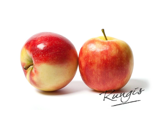 8380 Elstar appelen (normale maat 80+) kg - stuk